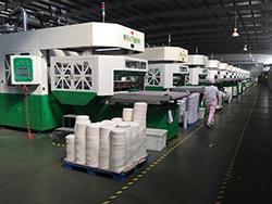 Máquina moldeadora automática - para envases de celulosa moldeada LD-12A-1560